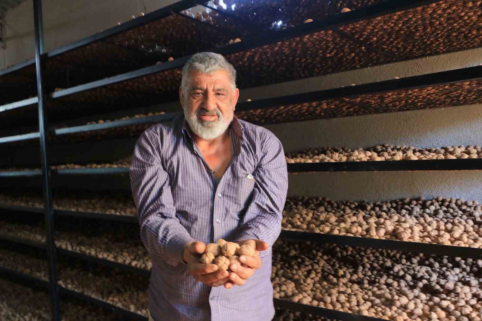 Ceviz üretimiyle Avrupa'daki maaşından daha çok kazanıyor