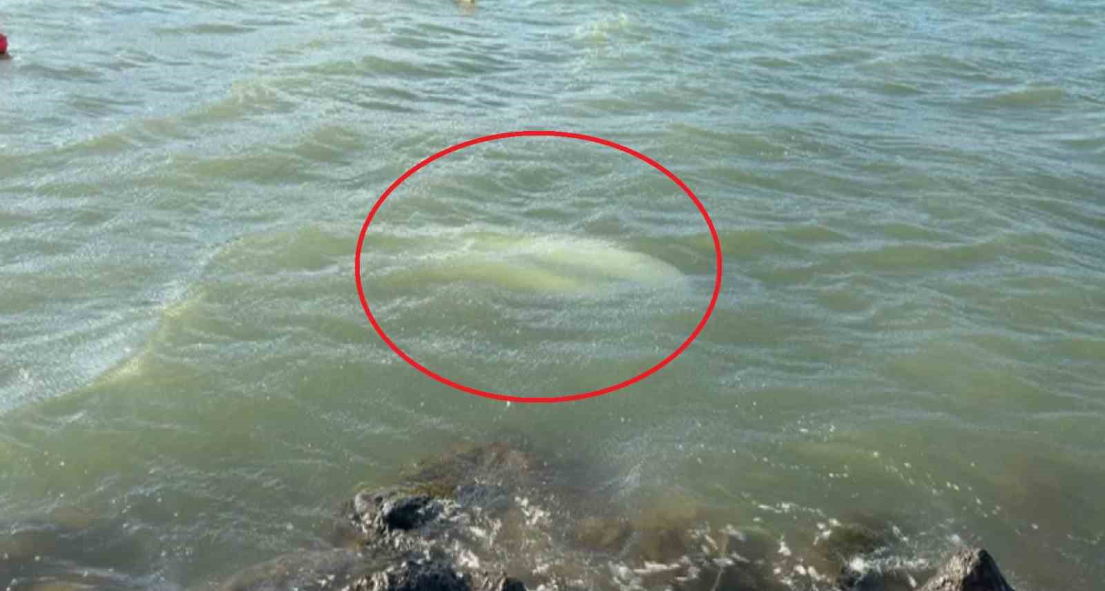 Karadeniz'de fırtına: Samsun'da 3 tekne battı