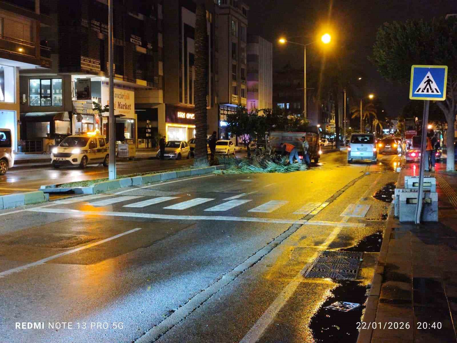 Antalya'da fırtına palmiye ağacını ikiye böldü