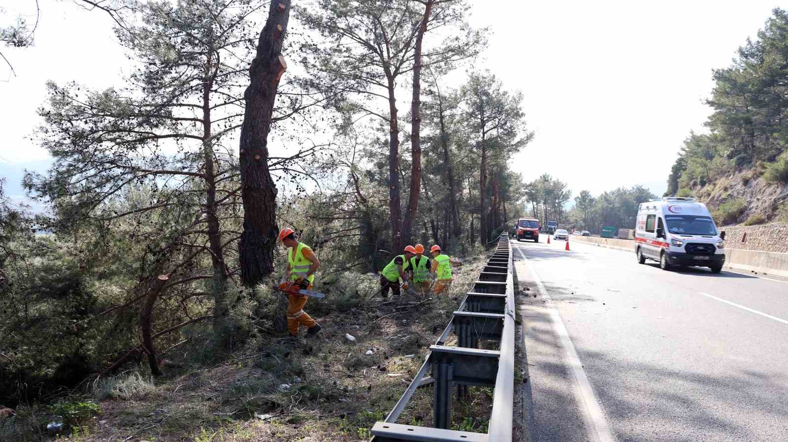 Muğla'da yangın sezonu öncesi Sakar Geçidi'nde riskli dallar temizleniyor