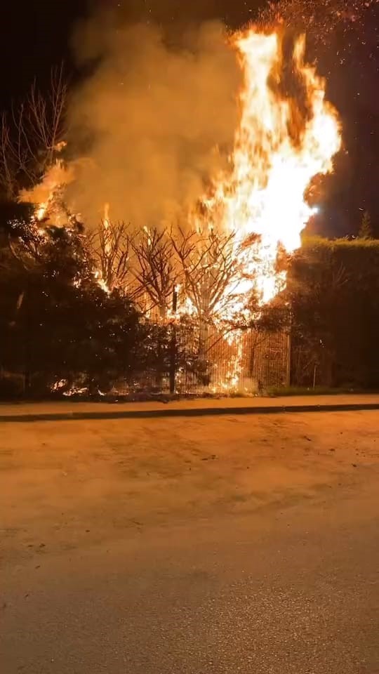 Sebepsiz yere ateşe verilen ağaç itfaiyeyi harekete geçirdi