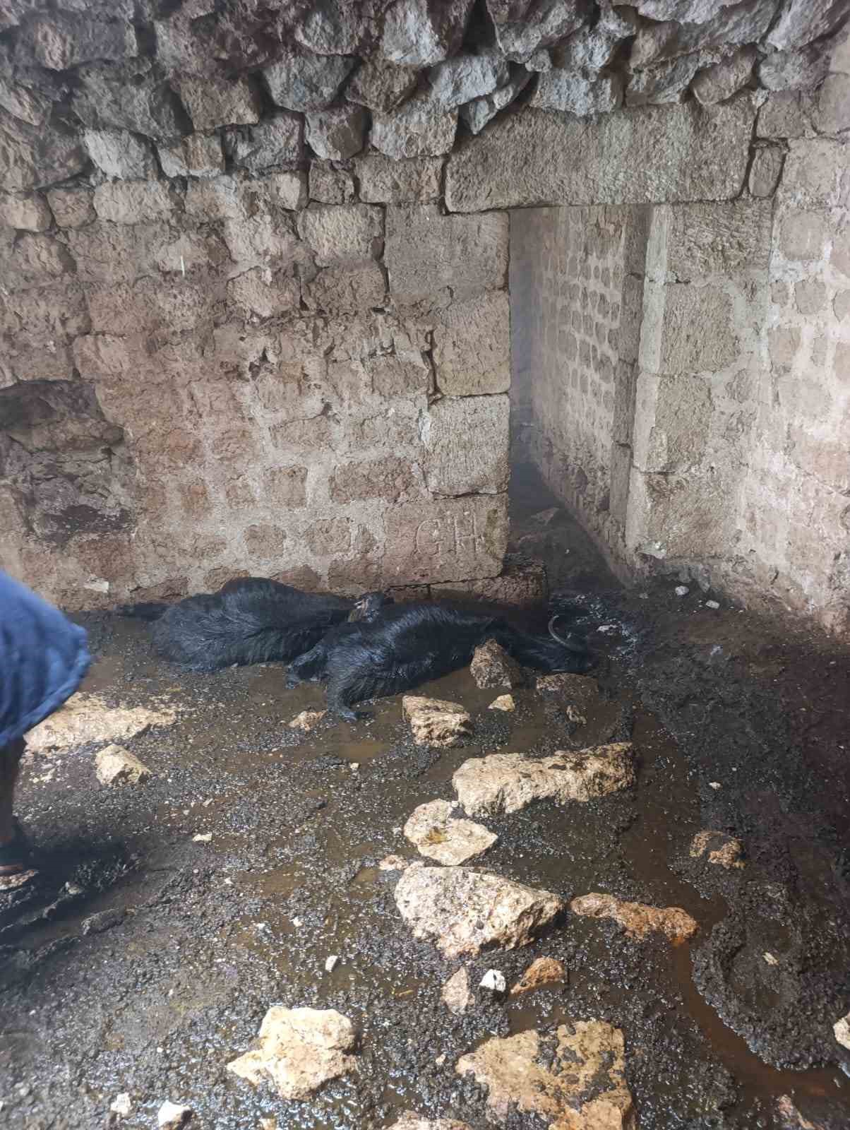 Tarsus'ta ahıra yıldırım düştü: 5 küçükbaş hayvan telef oldu