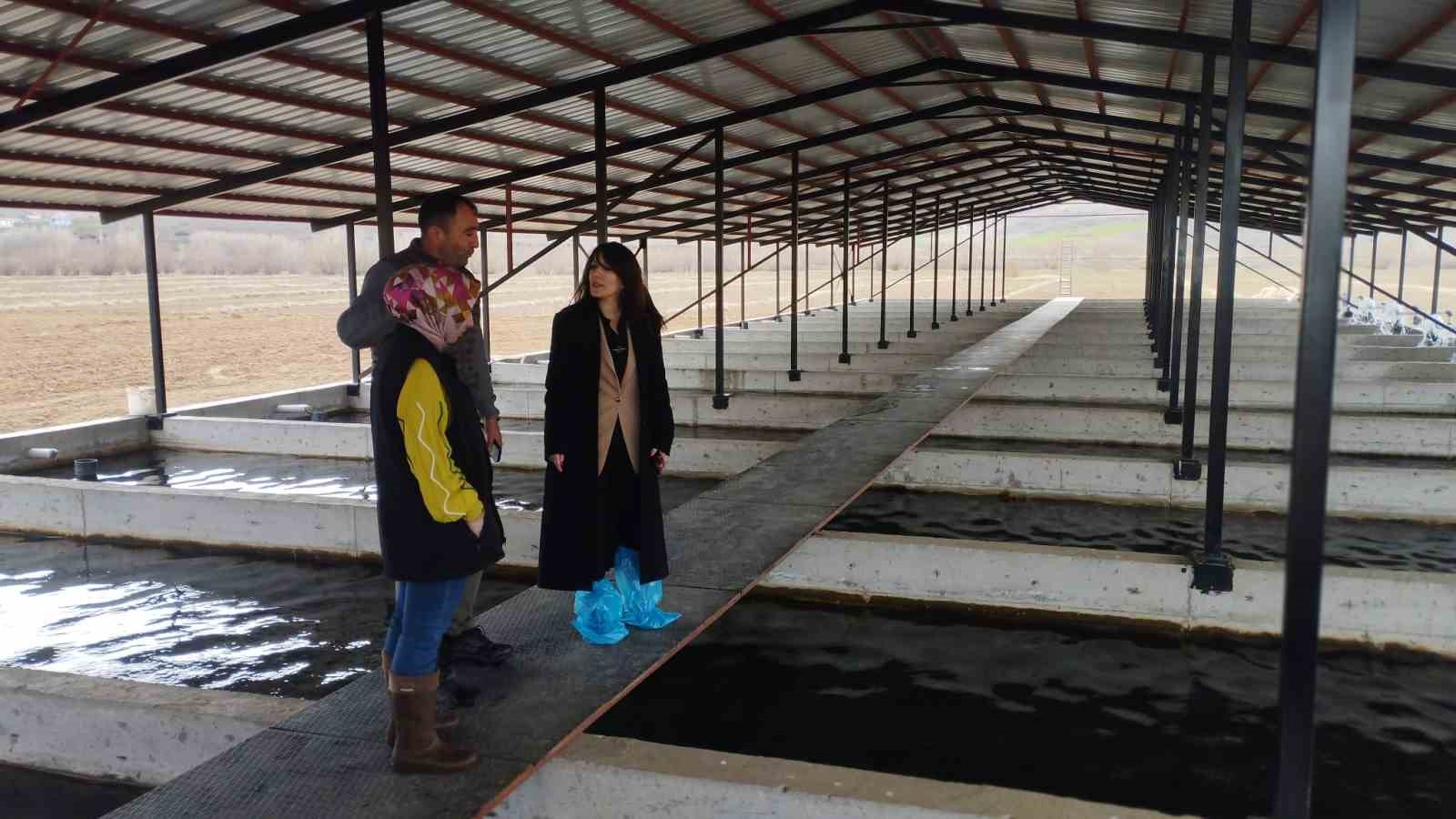 Tercan'da alabalık üretim tesisine denetim