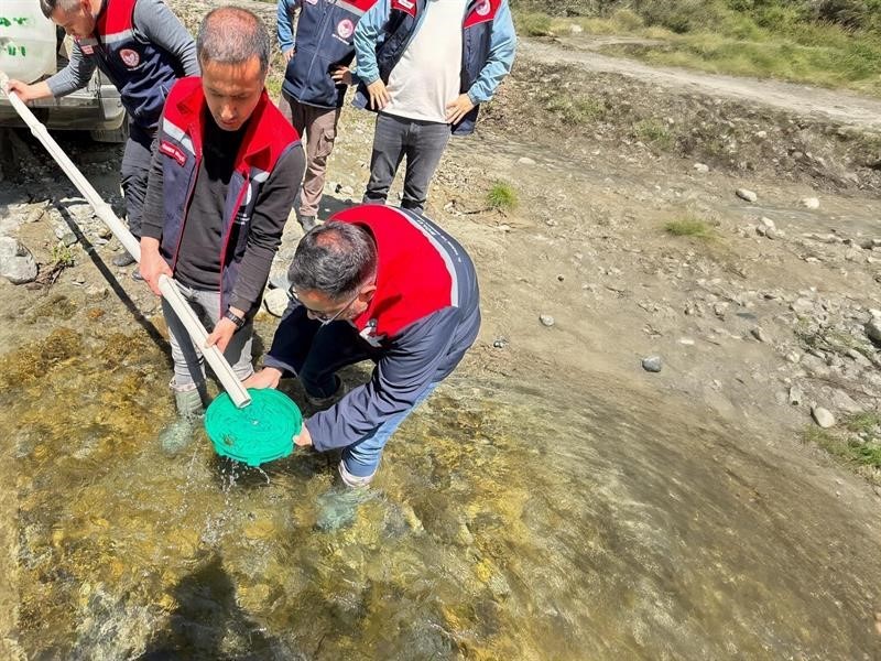 Yığılca'da derelere 50 bin kırmızı benekli alabalık yavrusu bırakıldı