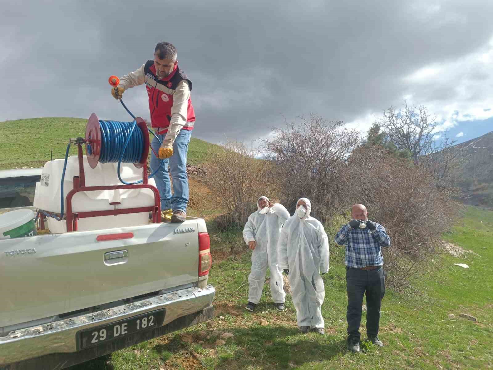 Gümüşhane'de çekirge istilasına uğrayan köyde ilaçlama çalışması başlatıldı