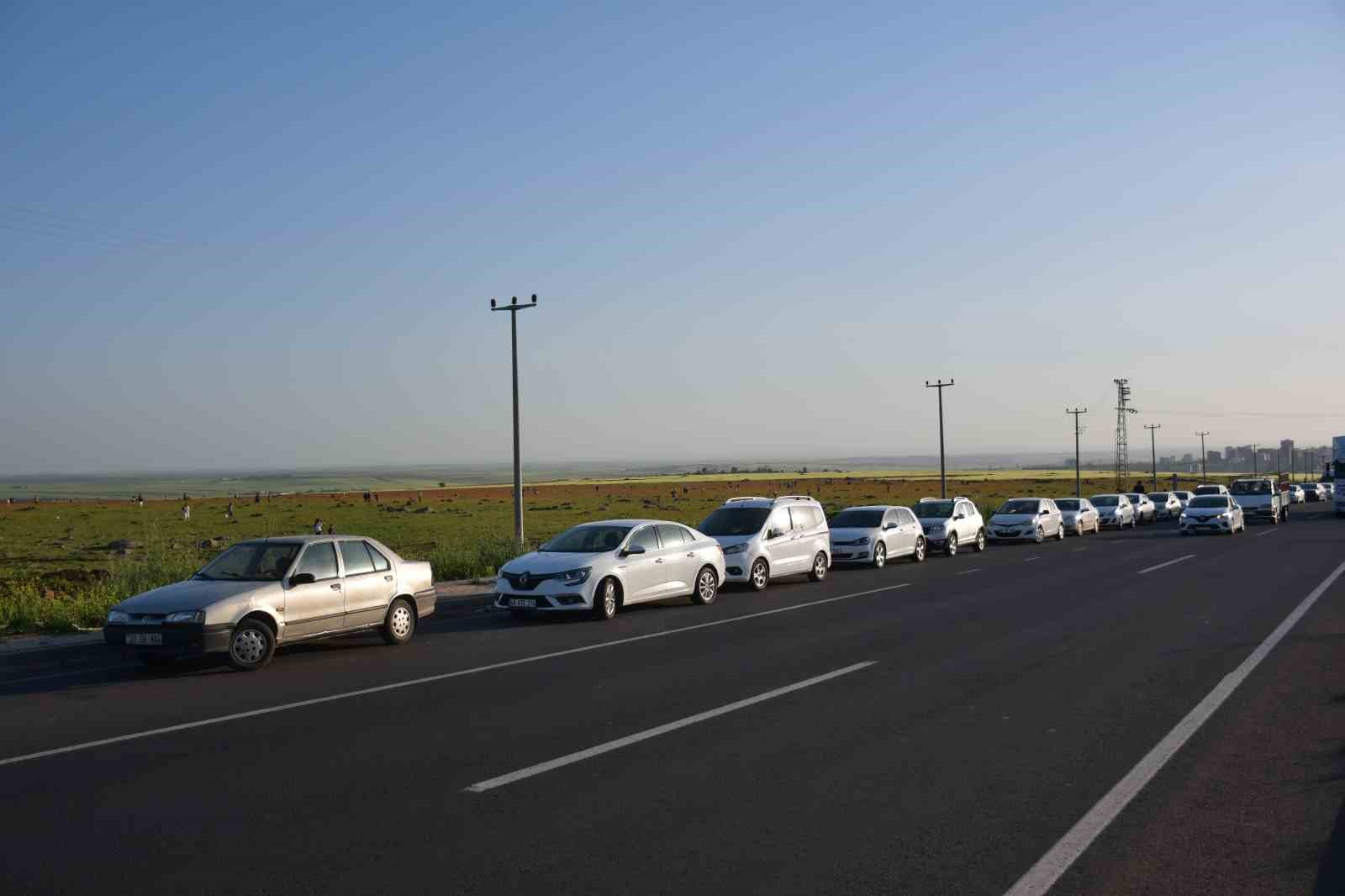 Siverek'te gelincik tarlaları binlerce kişinin uğrak noktası haline geldi