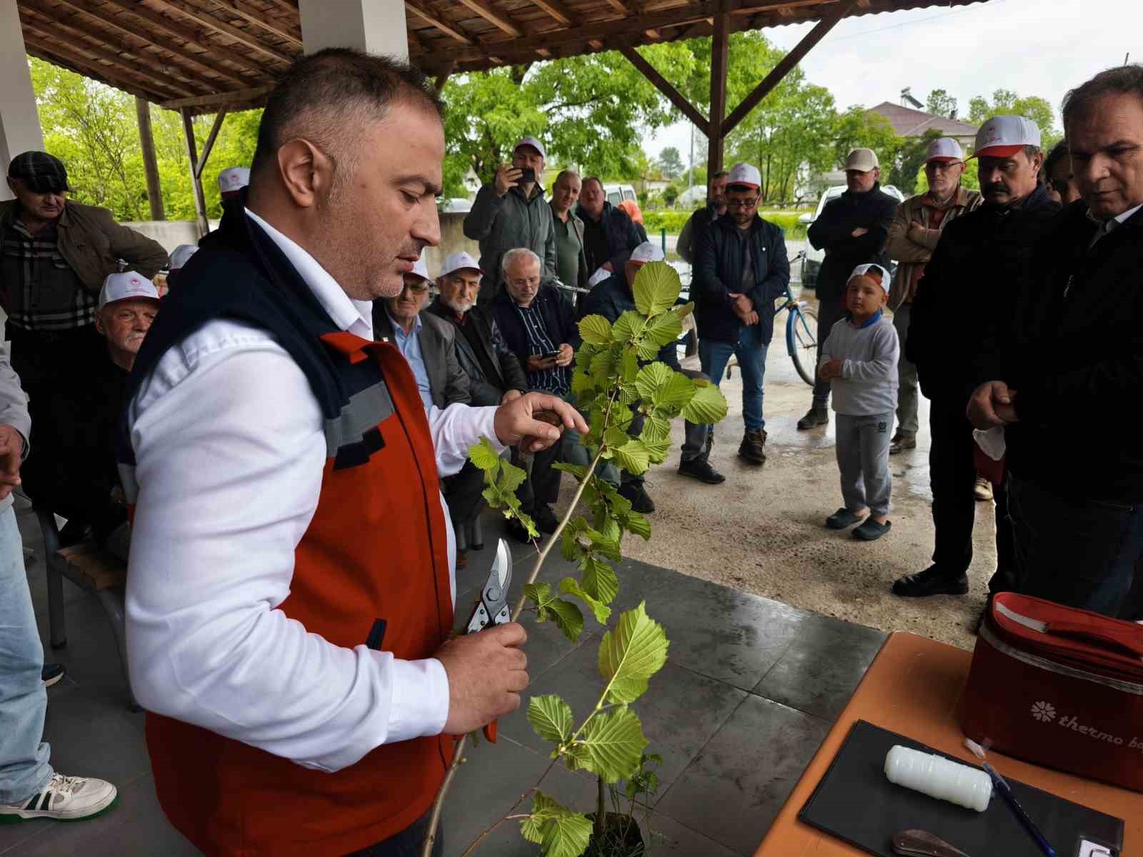 Samsun'da üreticilere 'aşılama' sertifikası