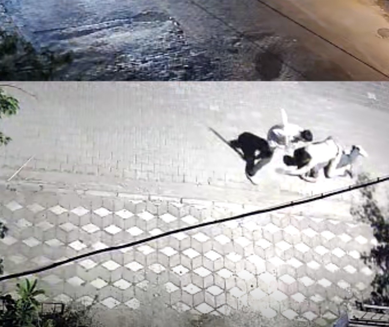 Manisa'da kız meselesi kavgası: 6 yerinden bıçaklandı