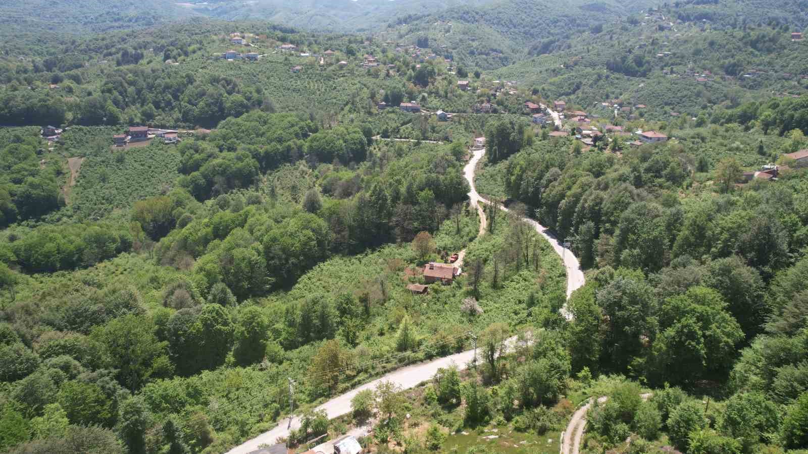 Ormanlar baharın gelişiyle kartpostallık manzaralar oluşturdu