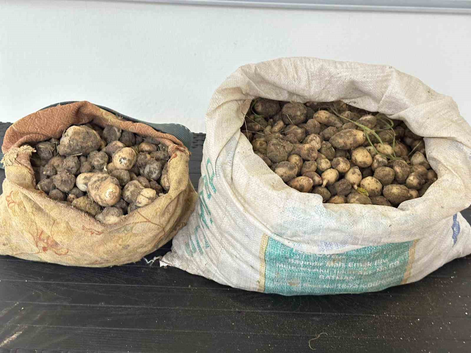 Salep soğanı topladılar, 2 milyon TL ceza yediler