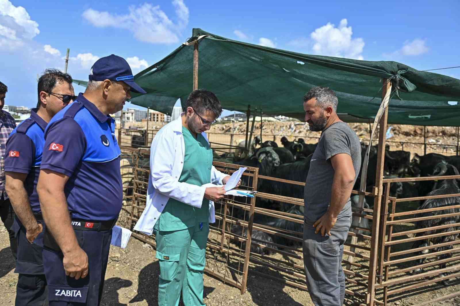 Muratpaşa'da Kurban Bayramı hazırlıkları tamamlandı