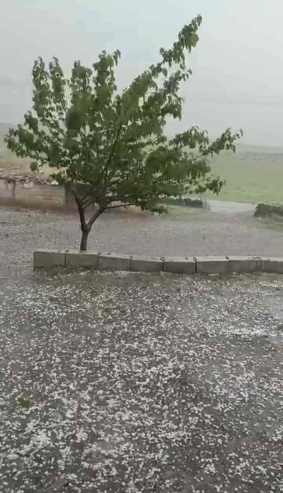 Siverek'te ceviz büyüklüğünde dolu yağdı