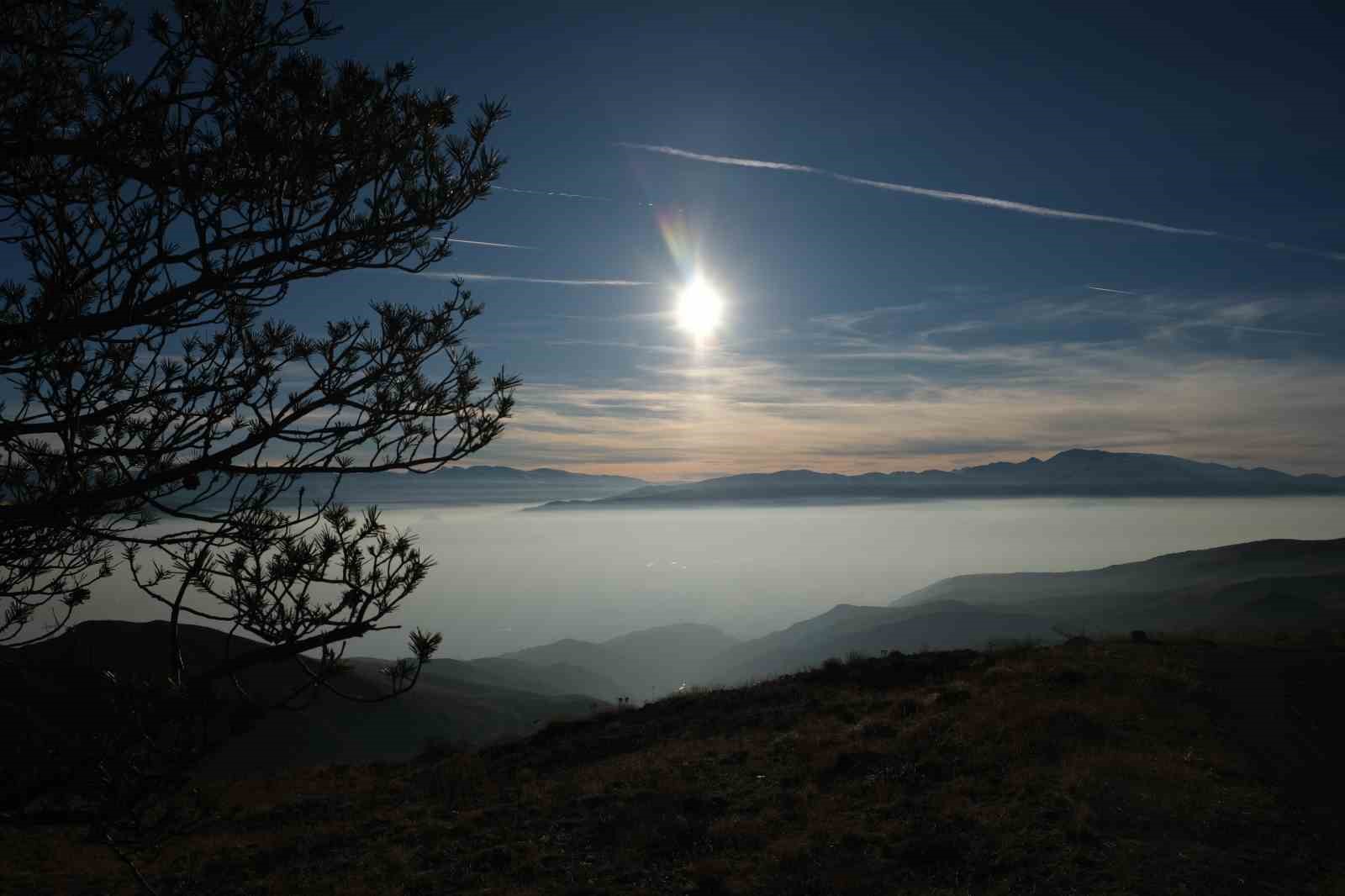 Erzincan Ovası 'Pamuk Denizine' döndü